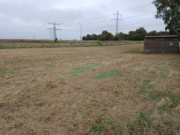 Medium property photo - Molenweg, 6082 NB Buggenum