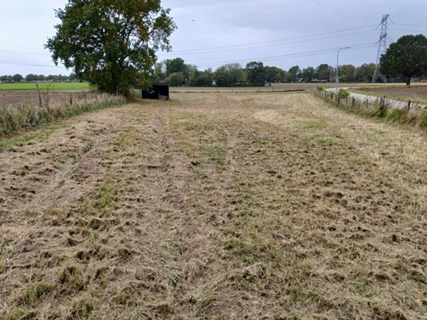 Medium property photo - Molenweg, 6082 NB Buggenum