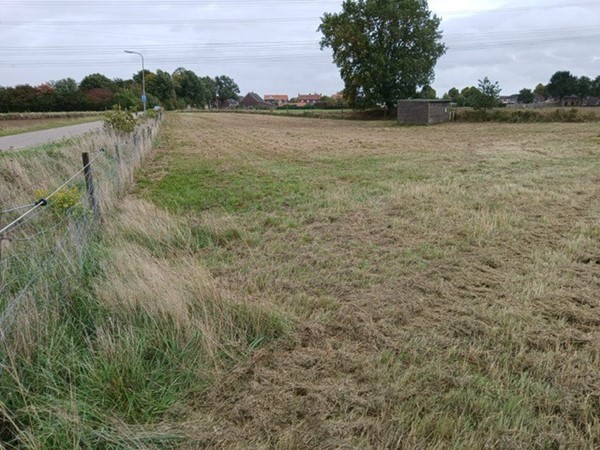 Medium property photo - Molenweg, 6082 NB Buggenum