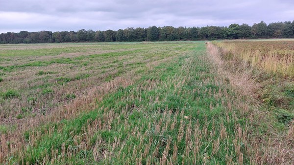 Medium property photo - Michelslaan, 5712 PL Someren