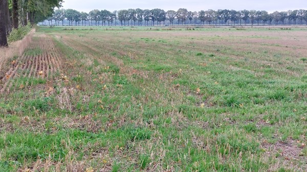 Medium property photo - Michelslaan, 5712 PL Someren