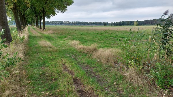 Medium property photo - Michelslaan, 5712 PL Someren