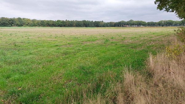 Medium property photo - Michelslaan, 5712 PL Someren