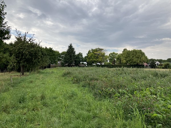 Medium property photo - Leeuwerik, 6141 LM Limbricht