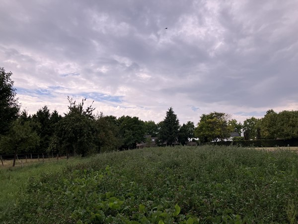 Medium property photo - Leeuwerik, 6141 LM Limbricht