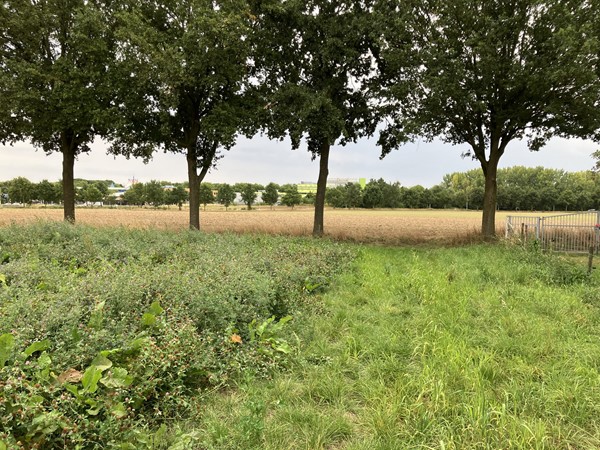 Medium property photo - Leeuwerik, 6141 LM Limbricht