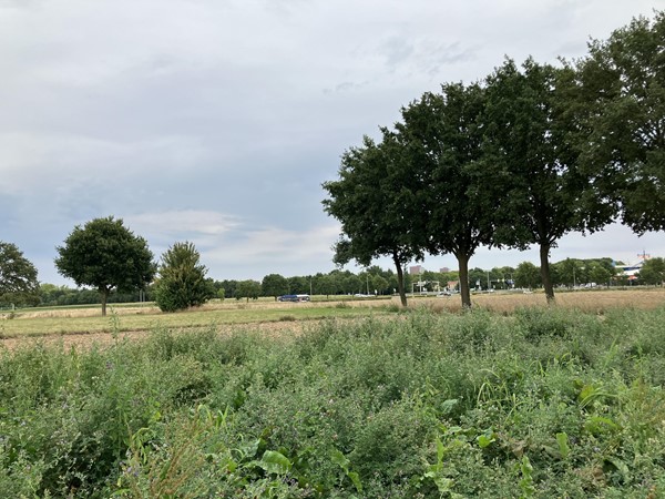 Medium property photo - Leeuwerik, 6141 LM Limbricht