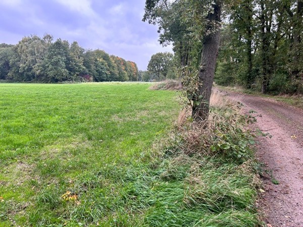 Medium property photo - Grotesteeg/Hoogbeemdenweg, 6006 TJ Weert