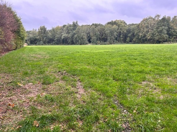 Medium property photo - Grotesteeg/Hoogbeemdenweg, 6006 TJ Weert