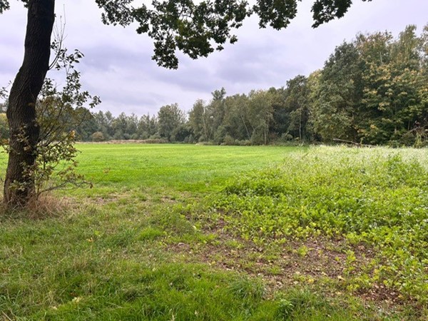 Medium property photo - Grotesteeg/Hoogbeemdenweg, 6006 TJ Weert