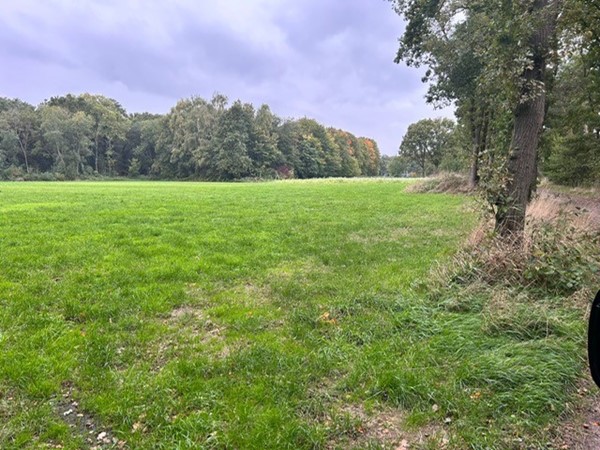 Medium property photo - Grotesteeg/Hoogbeemdenweg, 6006 TJ Weert