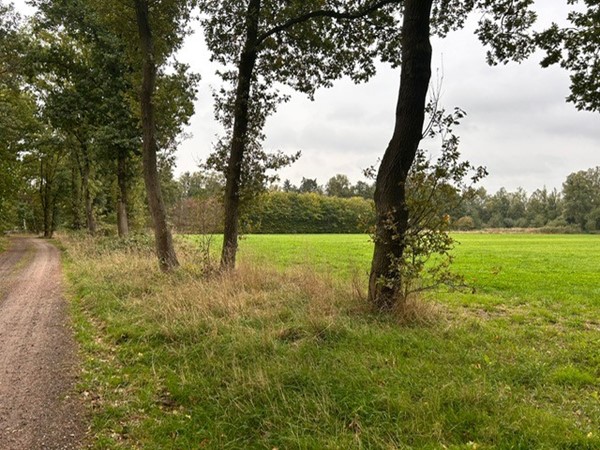 Medium property photo - Grotesteeg/Hoogbeemdenweg, 6006 TJ Weert