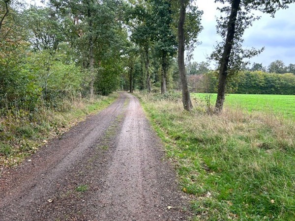 Medium property photo - Grotesteeg/Hoogbeemdenweg, 6006 TJ Weert