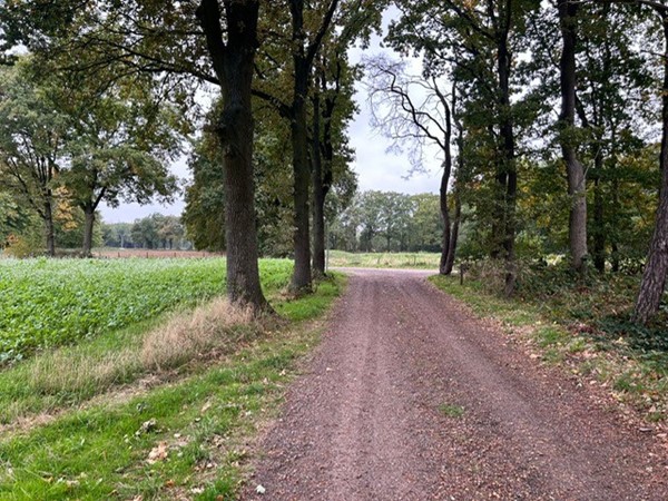 Medium property photo - Grotesteeg/Hoogbeemdenweg, 6006 TJ Weert