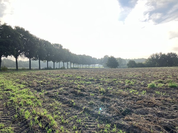 Medium property photo - Eerselenweg/Heerdstraat, 6111 RA Montfort