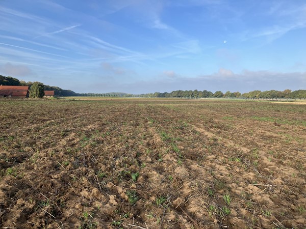 Medium property photo - Eerselenweg/Heerdstraat, 6111 RA Montfort