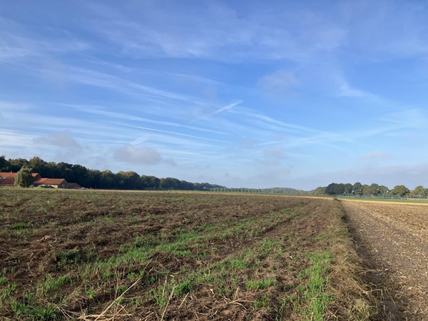 Medium property photo - Eerselenweg/Heerdstraat, 6111 RA Montfort