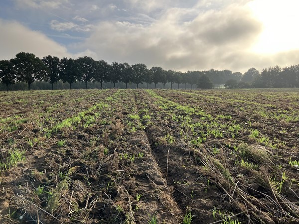 Medium property photo - Eerselenweg/Heerdstraat, 6111 RA Montfort