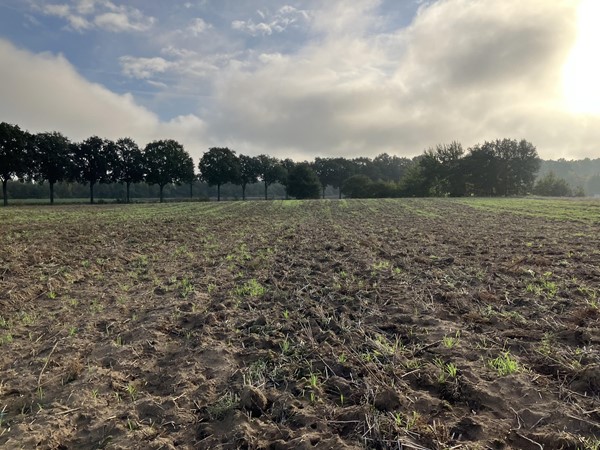 Medium property photo - Eerselenweg/Heerdstraat, 6111 RA Montfort