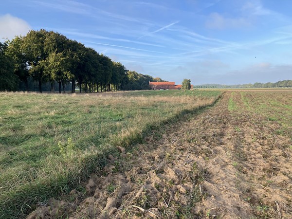 Medium property photo - Eerselenweg/Heerdstraat, 6111 RA Montfort