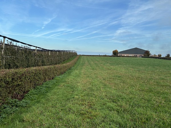 Medium property photo - Genzonweg, 6235 NG Ulestraten