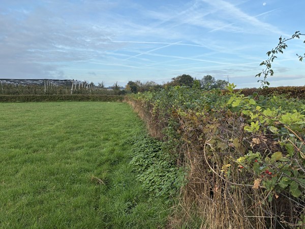 Medium property photo - Genzonweg, 6235 NG Ulestraten