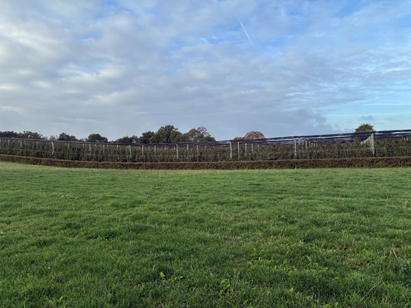 Medium property photo - Genzonweg, 6235 NG Ulestraten