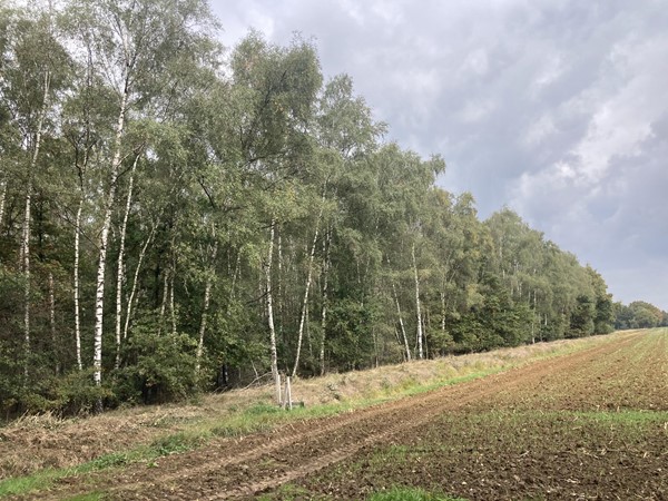 Medium property photo - 2e Peelweg, 5995 SG Kessel