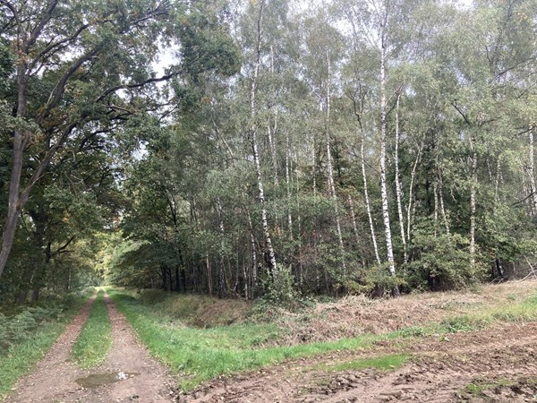 Medium property photo - 2e Peelweg, 5995 SG Kessel