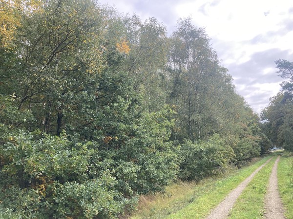 Medium property photo - 2e Peelweg, 5995 SG Kessel