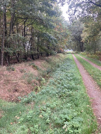 Medium property photo - 2e Peelweg, 5995 SG Kessel