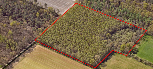 Medium property photo - 2e Peelweg, 5995 SG Kessel