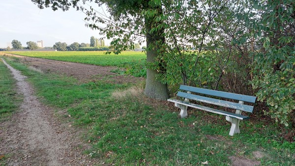 Medium property photo - Helmeer nabij Krekelkamp, 5861 AD Wanssum