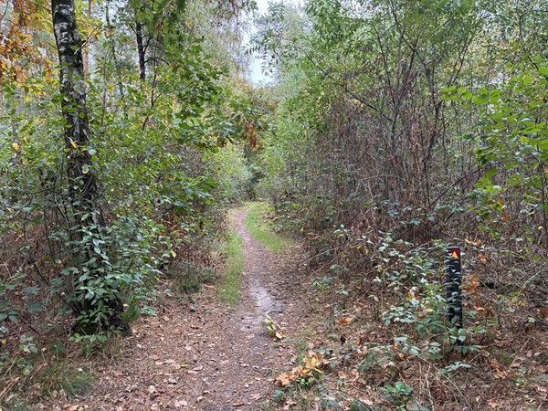 Medium property photo - Meerlosebaan, 5971 NW Grubbenvorst