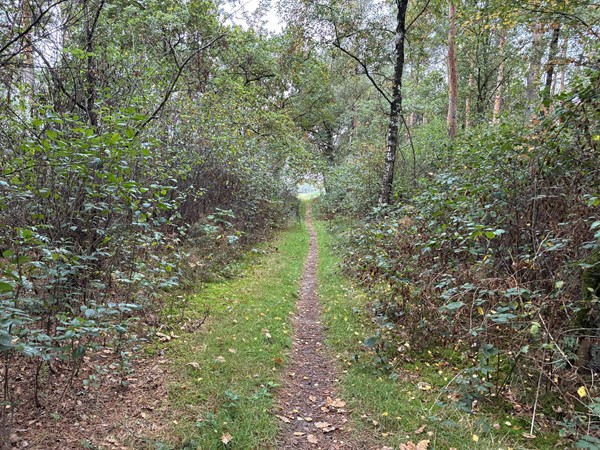 Medium property photo - Meerlosebaan, 5971 NW Grubbenvorst