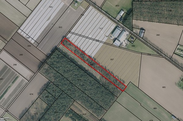 Te koop: Witveldweg, 5971 NS Grubbenvorst