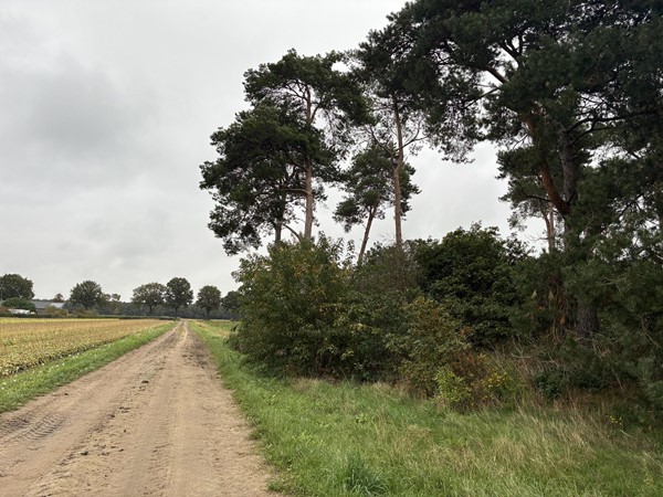 Medium property photo - Witveldweg, 5971 NS Grubbenvorst