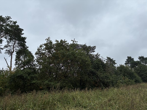 Medium property photo - Witveldweg, 5971 NS Grubbenvorst