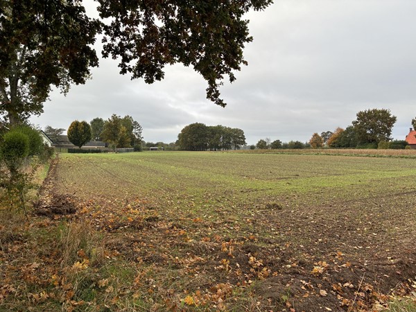 Medium property photo - Augustinusweg, 5853 EB Siebengewald