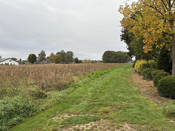 Medium property photo - Augustinusweg, 5853 EB Siebengewald