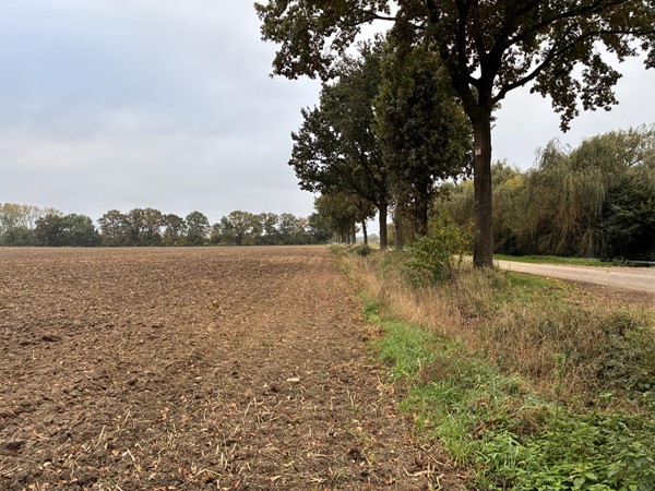 Medium property photo - Beekheuvel, 5853 ET Siebengewald