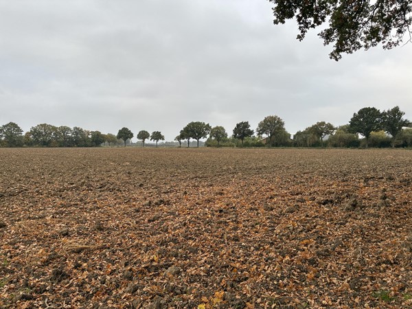 Medium property photo - Beekheuvel, 5853 ET Siebengewald