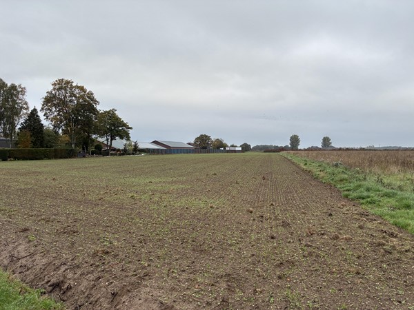 Medium property photo - Augustinusweg, 5853 ED Siebengewald