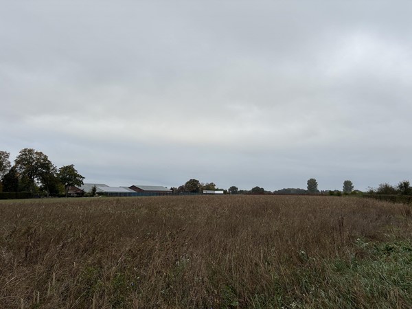 Medium property photo - Augustinusweg, 5853 ED Siebengewald