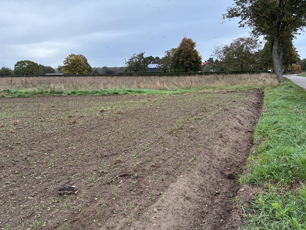 Medium property photo - Augustinusweg, 5853 ED Siebengewald