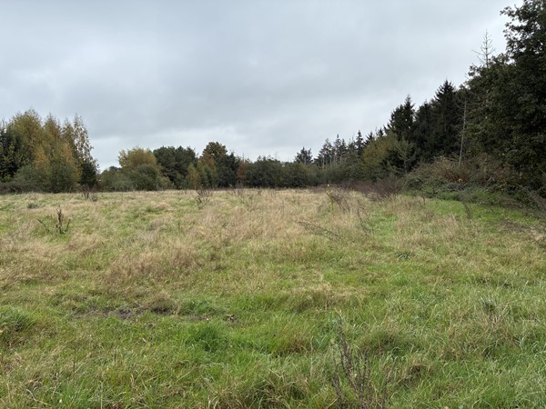 Medium property photo - Omgeving Dorperheideweg, 5944 PA Arcen