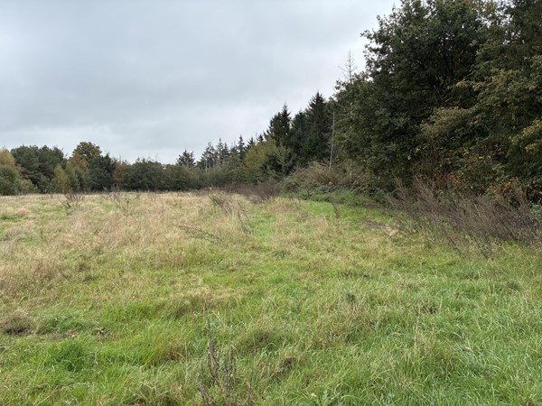 Medium property photo - Omgeving Dorperheideweg, 5944 PA Arcen