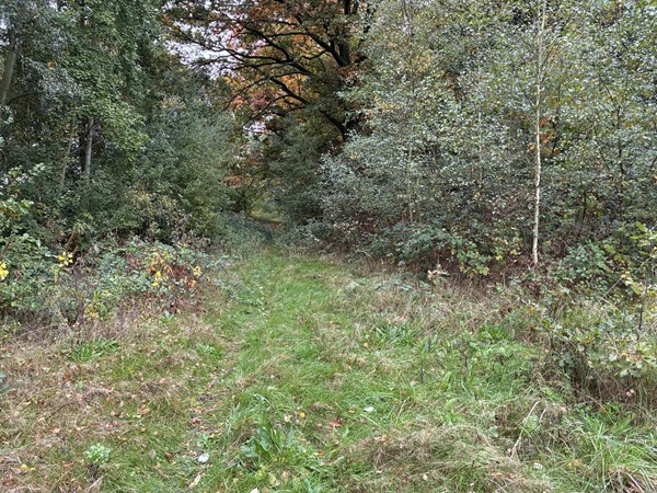 Medium property photo - Omgeving Dorperheideweg, 5944 PA Arcen