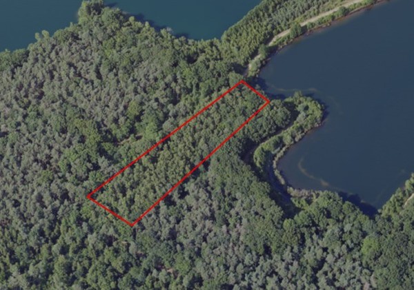 Medium property photo - Omgeving Dorperheideweg, 5944 PA Arcen