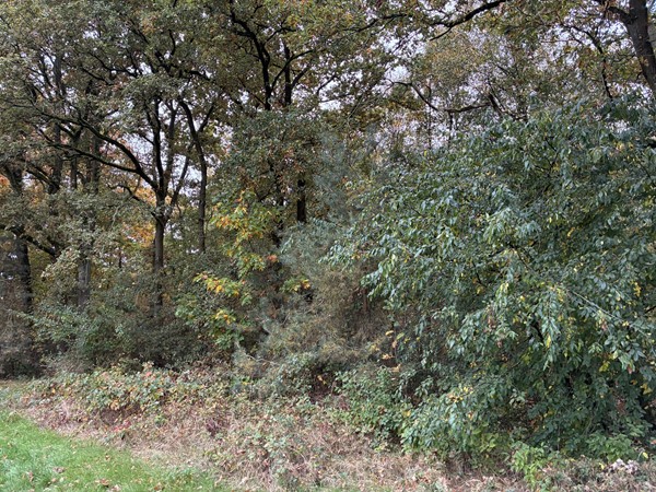 Medium property photo - Omgeving Dorperheideweg, 5944 PA Arcen